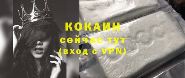 гидра Вязники