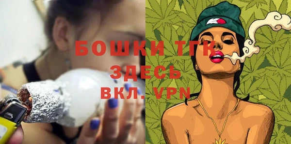 spice Вяземский