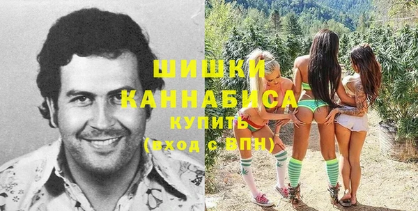 гидра Вязники