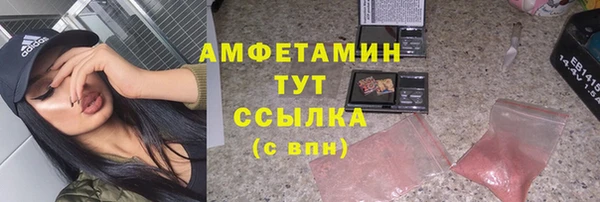 гидра Вязники